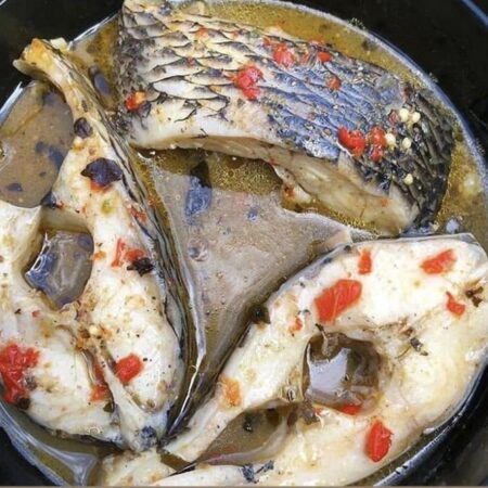 Tilapia Fish